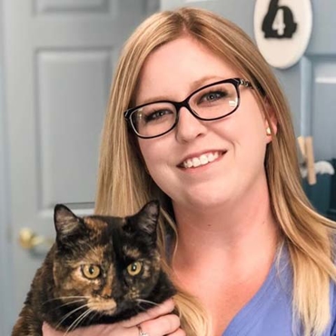 Meet Our Team | Heartland Veterinary Clinic in Harrisonburg