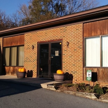 2-outside-cat-wing_orig