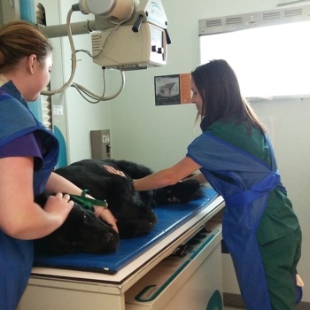 20170620-152123_orig