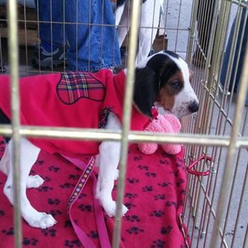 20171028-103349-resized