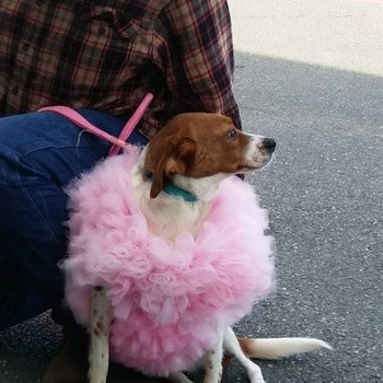 20171028-110905-resized