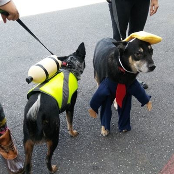 20171028-113640-resized