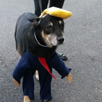 20171028-113642-resized