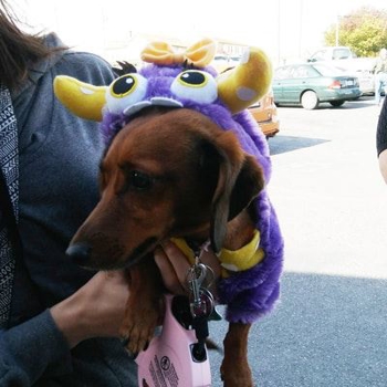 20171028-122321-resized